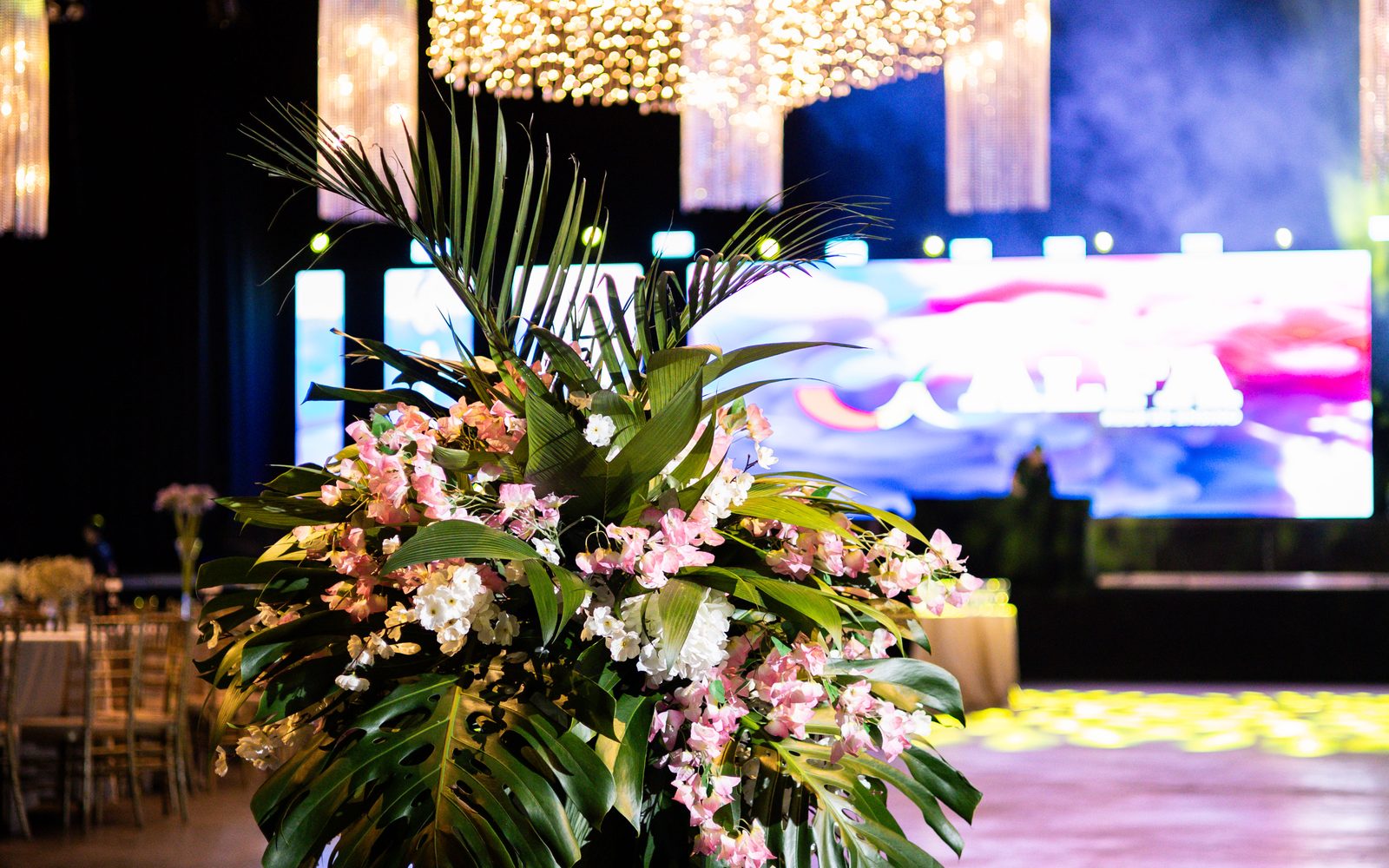 Empresa de formatura em Paranaguá, PR - Memorizze Formaturas
