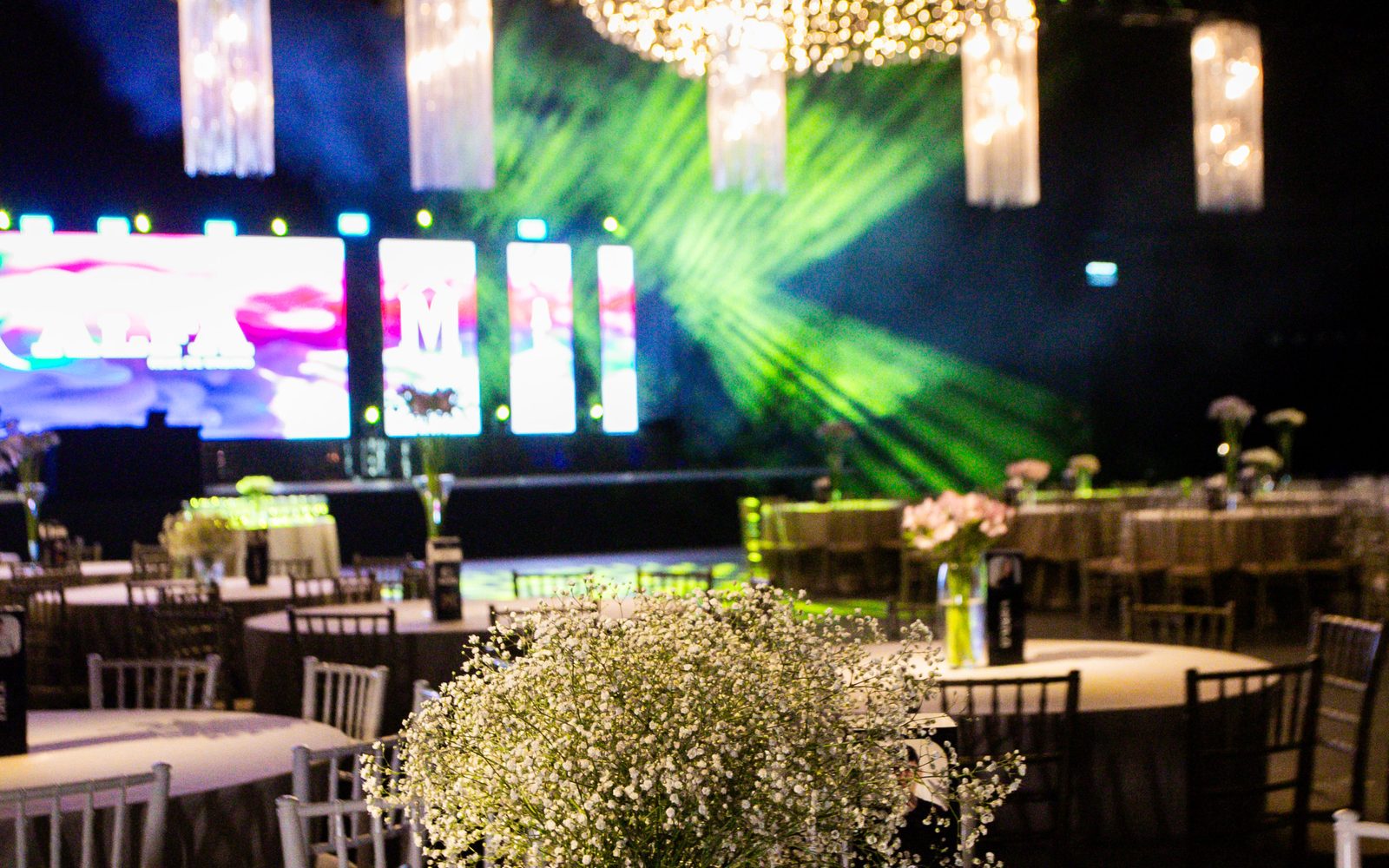 Empresa de formatura em Chapecó, SC - Memorizze Formaturas
